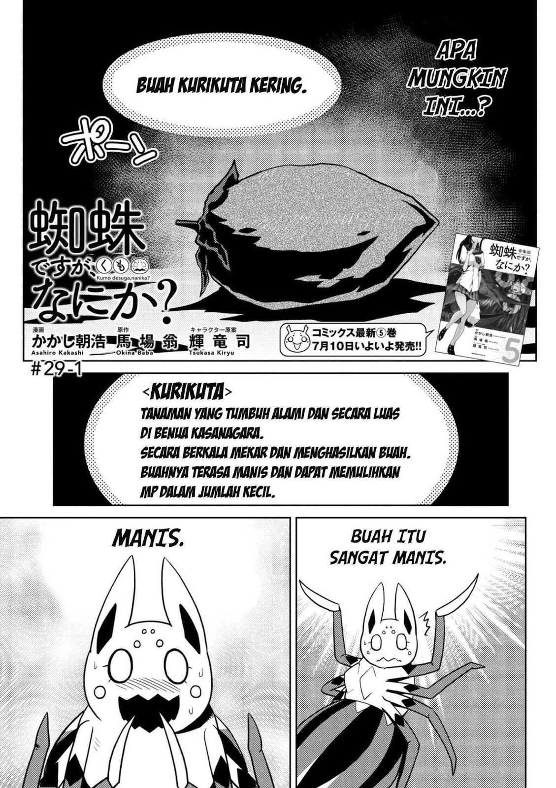 Kumo desu ga, Nani Ka?